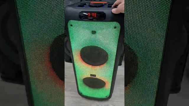 Колонка Eltronic 20 03