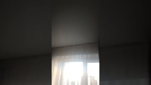 Белый матовый потолок смотреть онлайн