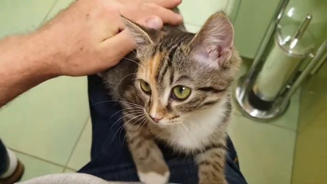 Ксюша ласкуша смотреть онлайн