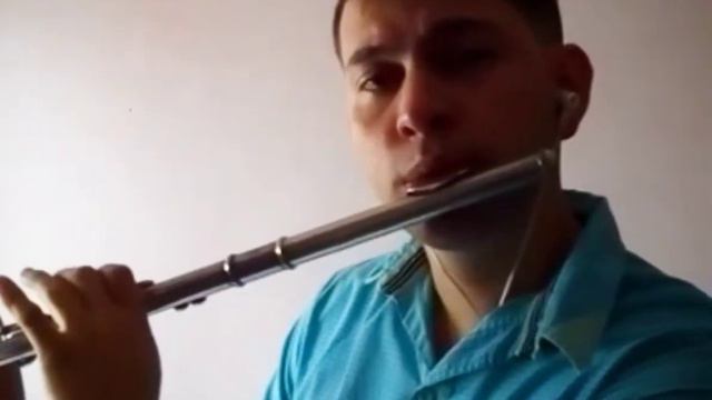 Cinnamon girl-Lana del Rey-Cover flute смотреть онлайн