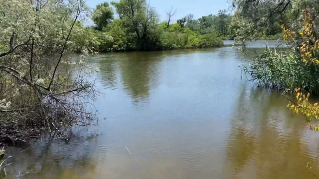 Рыбалка Запорожье /Гребной канал #рыбалказапорожье смотреть онлайн