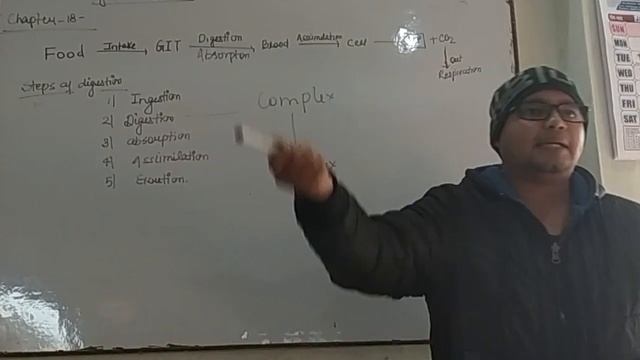 Digestion System || L-1 Unit-2 || Introduction -HAP смотреть онлайн