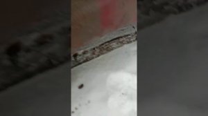 Ставим на Газель широкую 205 резина 205/65/r16c  можно ли поставить и что будет