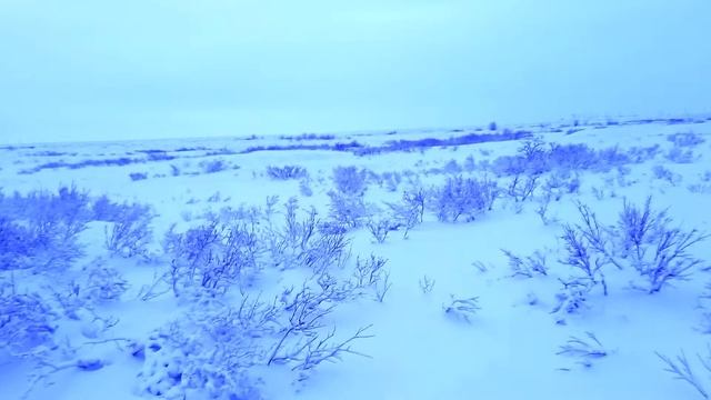 Hare holes in the snow! Заячьи норы в снегу. смотреть онлайн