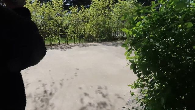 VLOG Семейный день, вышли в зоопарк смотреть онлайн