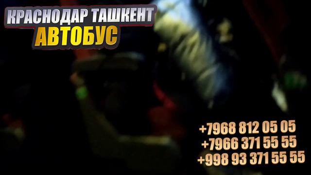 Краснодар Ташкент автобус билет нархлари. Примой рейс без посредник смотреть онлайн