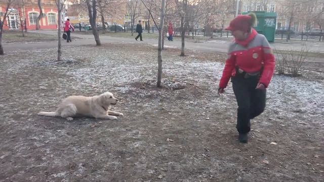 Гарди, заяц волку, отморженные смотреть онлайн