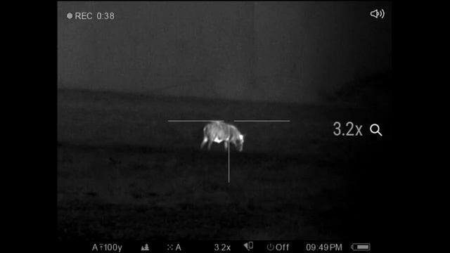 115 Hogs Down-Thermal Hog Hunting смотреть онлайн