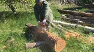 Продольное пиление Бревна Вяза. Бензопила Daewoo Power 5820. Поперечное пиление Дуба