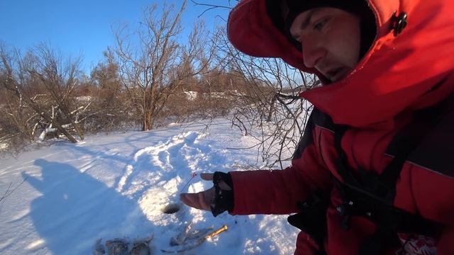 ВСЕ УДОЧКИ ГНУТСЯ ОТ РЫБЫ!! МОХНАТКА НЕ ТОНЕТ НА ДНО!! Налим, Язи и Жор окуня! Рыбалка на Оби. смотреть онлайн