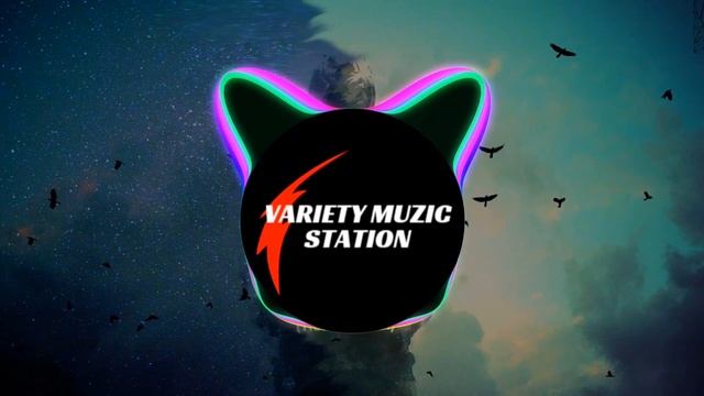 Loituma - Levan Polkka | Remix | Variety MuZic station | Pari Papa Pari Pari смотреть онлайн