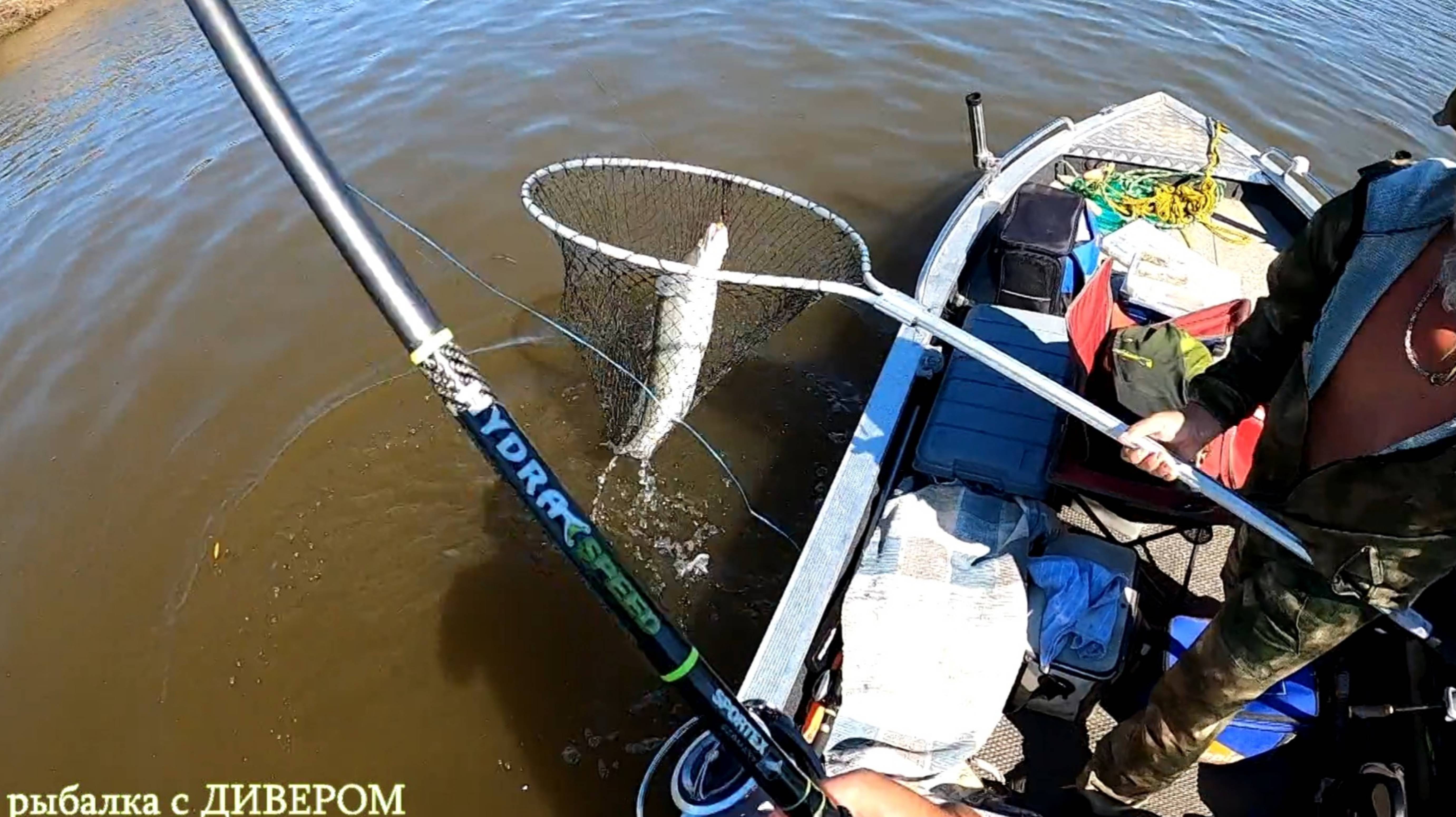 Трейлер к фильму - река АХТУБА, рыбалка в мошку.