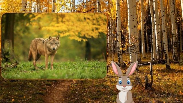 Елена Богоявленская, воспитатель Школы № 1454 "Тимирязевская". Санитары леса смотреть онлайн