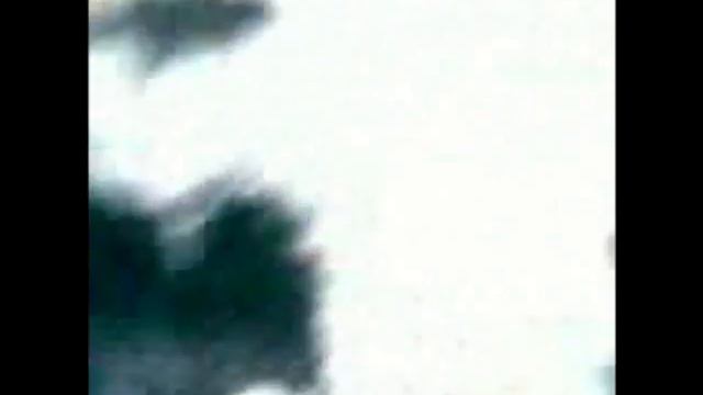 2 алабая(контроль с едой)(отрывки моих дрессировок).mp4 смотреть онлайн