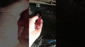 ЗАМЕНА МОТОРЧИКА ПЕЧКИ IVECO TRAKKER