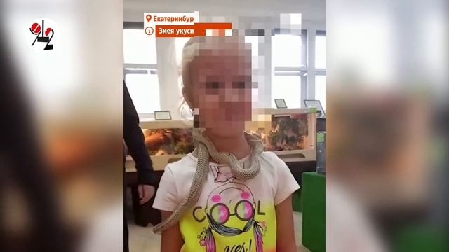 Змея вцепилась девочке в лицо смотреть онлайн