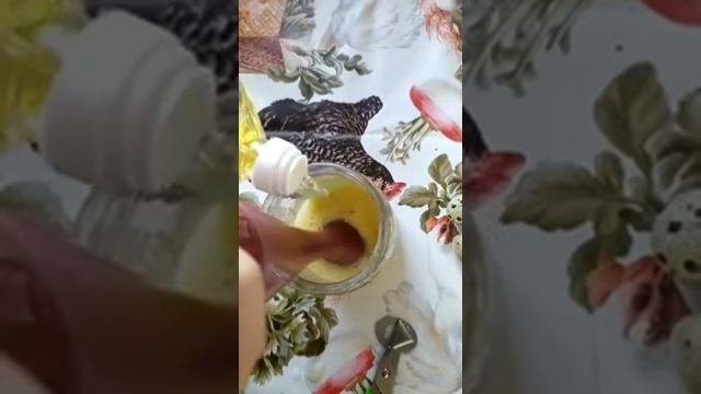 Готовим вкусный домашний майонез на перепелином яйце смотреть онлайн