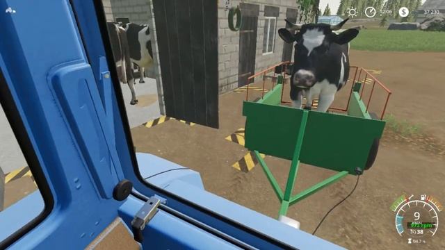 Farming Simulator 19 ! Ничейная Земля #5 Посев полей! Коровник! Продажа леса! Постройка Дома ! смотреть онлайн