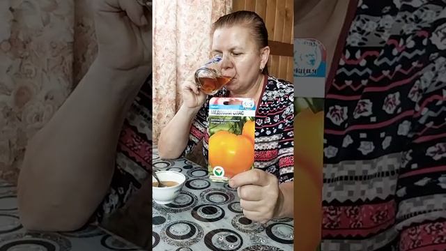 #SHORTS Лучшие крупноплодные сердцевидные сорта томатов 2021. смотреть онлайн