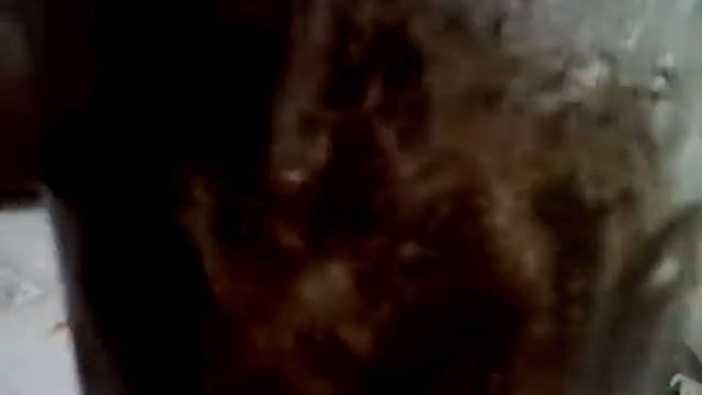 как сделать НЕСКВИК смотреть онлайн