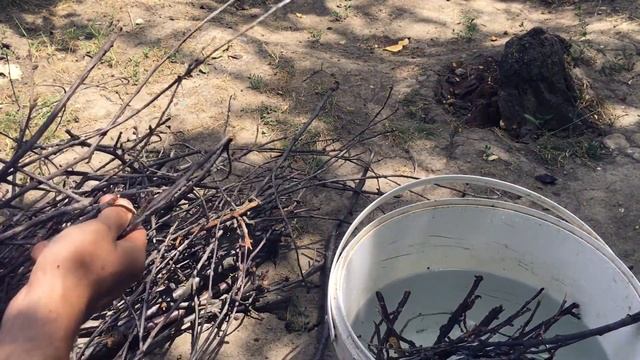 РЫБА ГОРЯЧЕГО КОПЧЕНИЯ. РЕЦЕПТ. ВКУСНО И ПРОСТО ОГОНЬ!#рыбагорячегокопчения #копчение #копчениерыбы смотреть онлайн