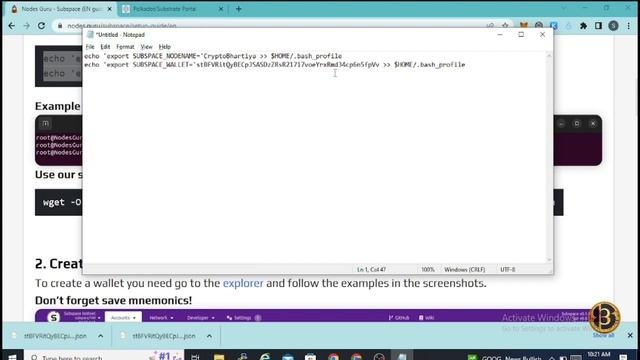 SUBSPACE NETWORK { Gemini II Incentive Testnet} | Airdrop | Node Setup in 2 minutes ( Free $1100 )? смотреть онлайн