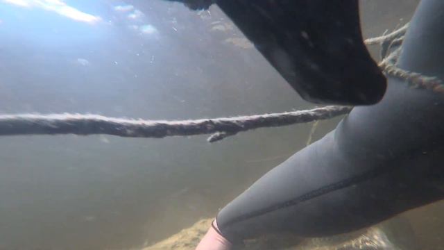 ПОДВОДНАЯ ОХОТА. ВЫПУСК №14. ОХОТА С РУЖЬЁМ Pelengas Magnum 55. смотреть онлайн