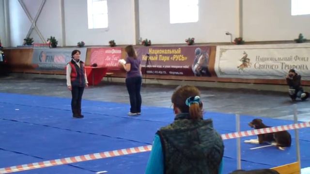 обд 1 Кунцевский КСС 20131214 Шаманова и бордер колли Кузя смотреть онлайн