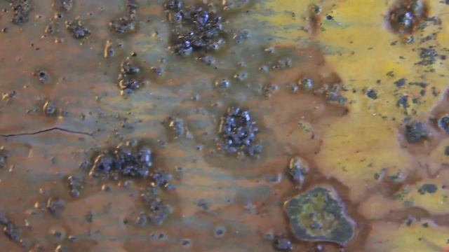 Folly & Muse - Art Journeys смотреть онлайн