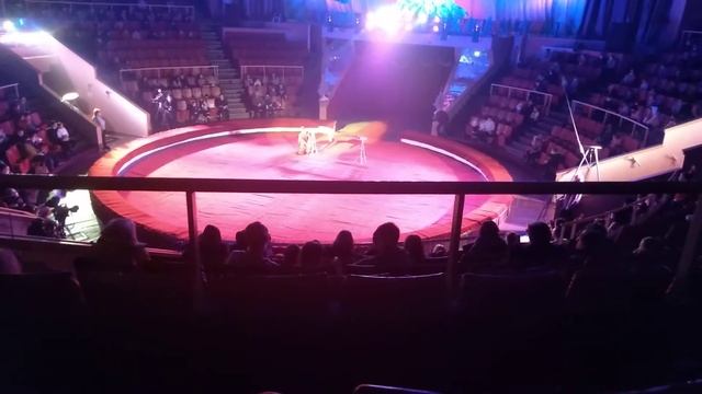 Цирк в Луганске 2(1) смотреть онлайн