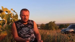 Как вырастить подсолнечник без единого дождя. Подсолнечник 2020.  Часть 1