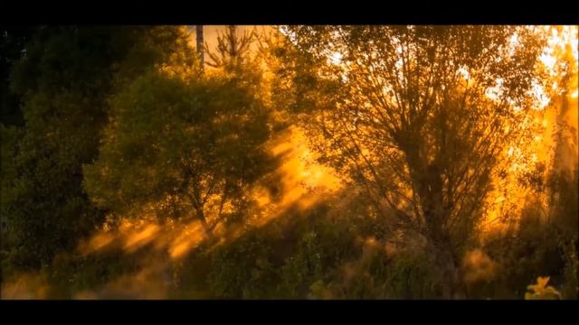 П.И. Чайковский (Анданте Кантабиле)