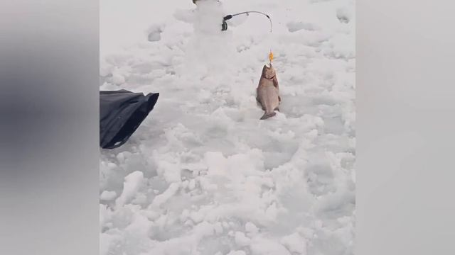 Фото рыбалка смотреть онлайн