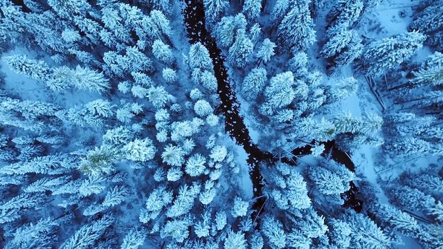 ЧТО ПРОИЗОЙДЕТ С МЁРТВЫМ ТЕЛОМ В КОСМОСЕ ?! смотреть онлайн