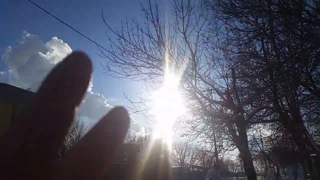 БЕРЕГИТЕ ПРИРОДУ - ЭКОЛОГИЮ НЕ ЗАГРЯЗЬНЯЙТЕ... 2 02 21... смотреть онлайн