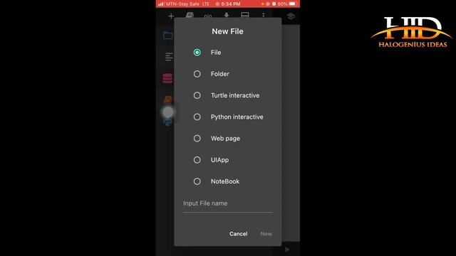 How to Install Python on an iPhone смотреть онлайн