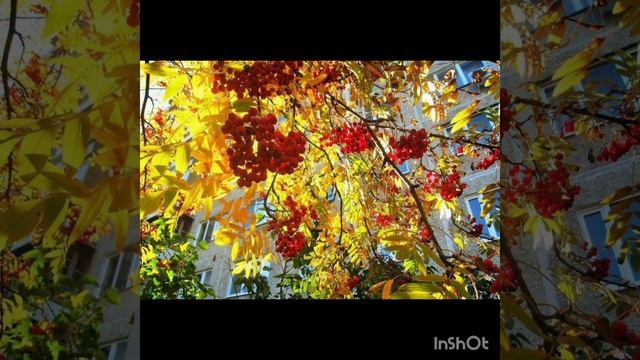 "Бабье лето" Рассказ, читает автор смотреть онлайн