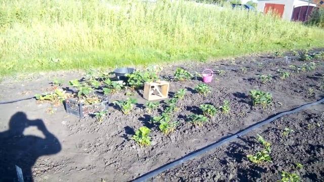 Видео УЧАСТОК №1 смотреть онлайн