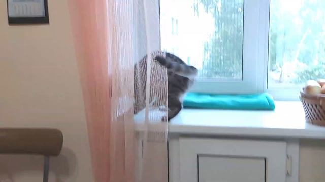 Шторы - что это такое и зачем они нужны? смотреть онлайн