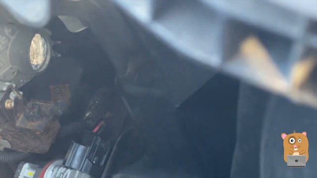 Updating Honda Accord Fog Light With AUXITO LED Fog Light смотреть онлайн