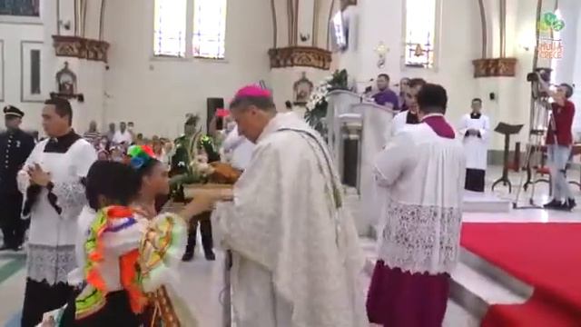 Gobernador Huila exaltó Diócesis de Neiva en 50 años y condecoró a su Obispo Monseñor Froilán Casas смотреть онлайн