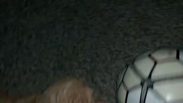 Кому-то не спится в 5 утра 🤨😁🐕🐩 смотреть онлайн