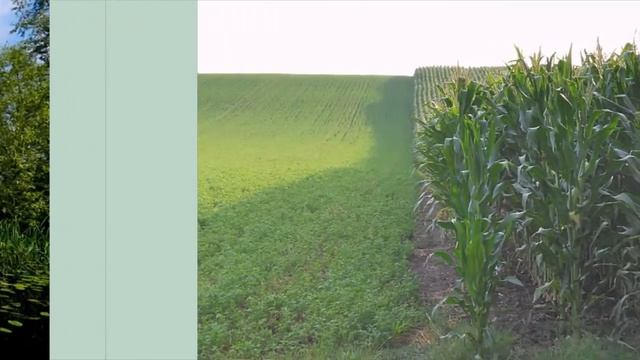 Красивые летние пейзажи смотреть онлайн