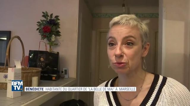 À Marseille, les punaises de lit envahissent le quartier de la Belle de Mai смотреть онлайн