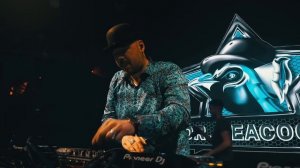 Dr. Peacock @ Warehouse, Nantes 2022