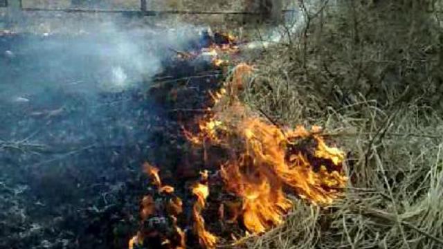 Горит трава