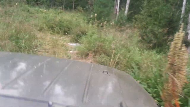 Рыбалка на кемчуге, небольшой выезд летом) лес, тайга, сибирь! смотреть онлайн
