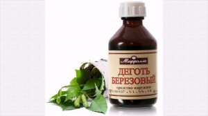 Как защитить зимой дачу от мышей и грызунов