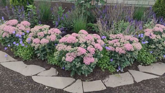 ОБЗОР МИКСБОРДЕРА ПЕРЕД ДОМОМ. смотреть онлайн