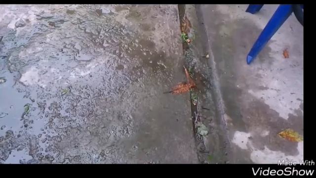 Бутилка Vs бетона